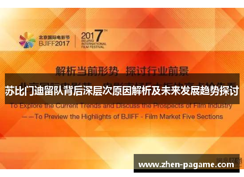 苏比门迪留队背后深层次原因解析及未来发展趋势探讨
